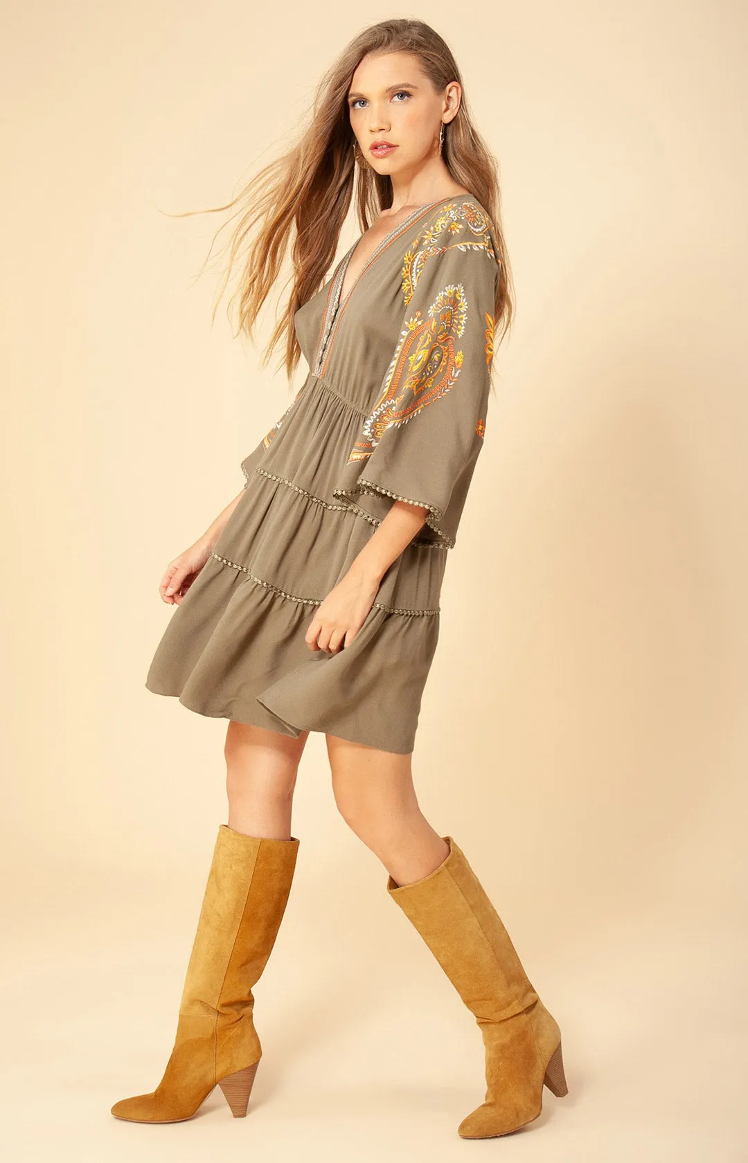 Daya Embroidered Dress