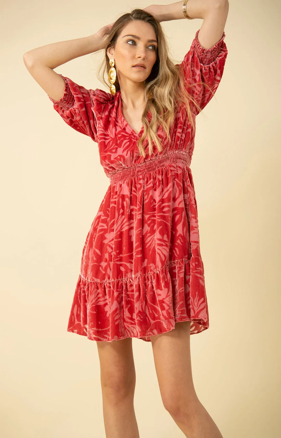 Willow Solid Velvet Burnout Dress