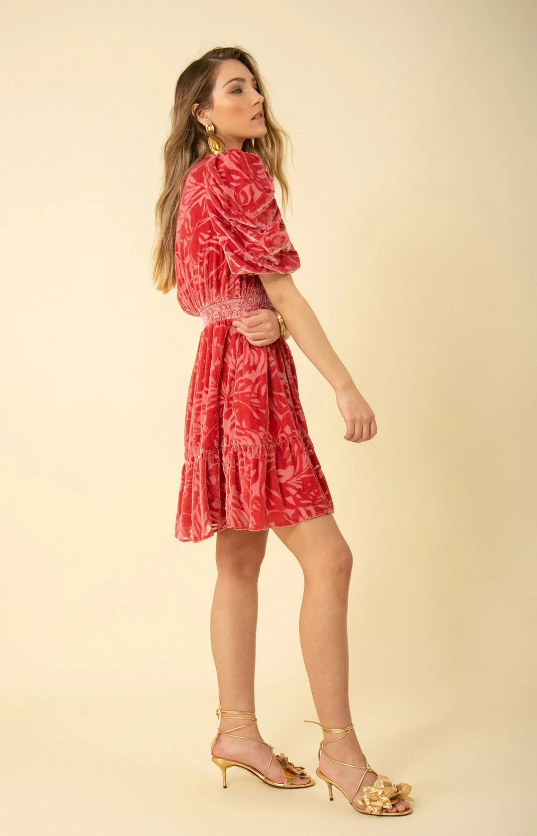 Willow Solid Velvet Burnout Dress